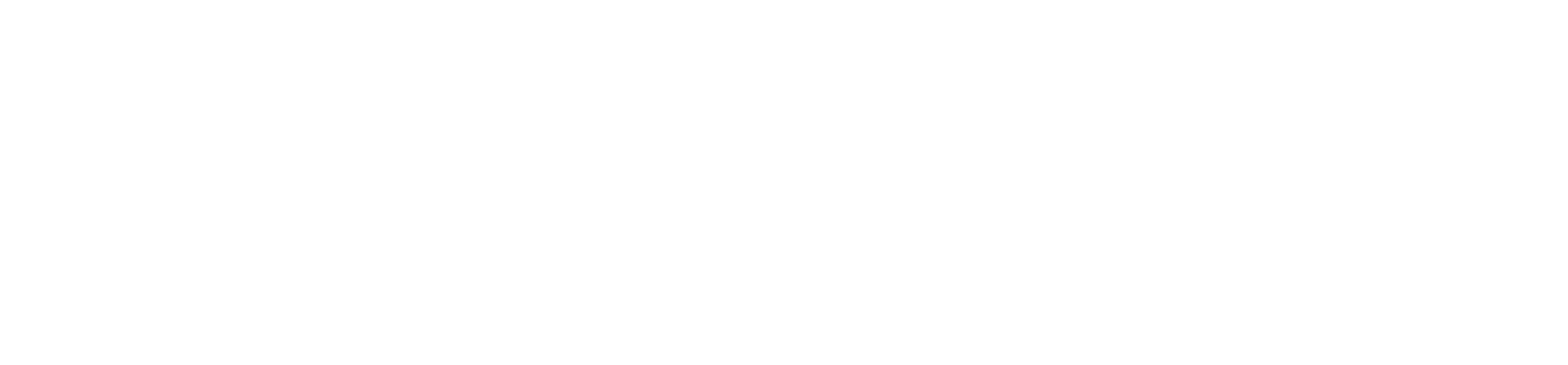 MetaPlex